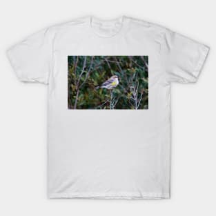 Yellow Rump Warbler T-Shirt